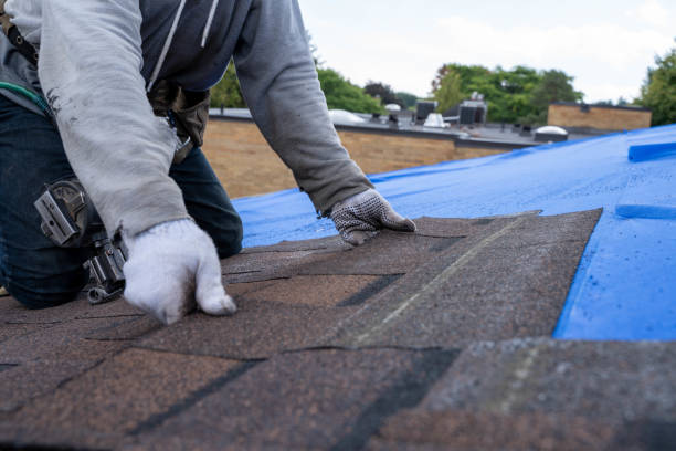 Best Roof Leak Repair  in Hamilton College, NY