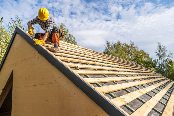 Sealant for Roof in Hamilton College, NY