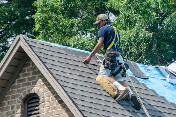 Best Storm Damage Roof Repair  in Hamilton College, NY